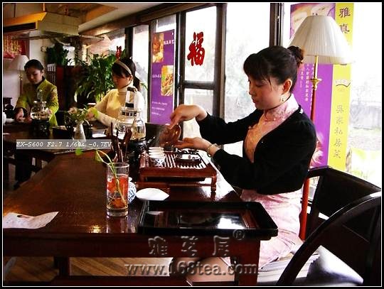 福建省第十二届茶艺师培训
