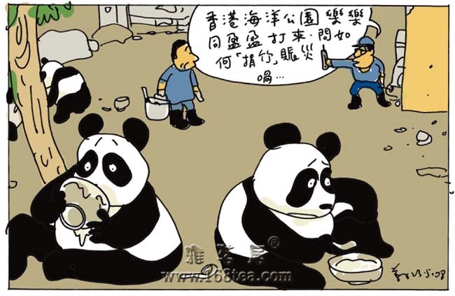 [转帖]四川大熊猫：你们不必担心，我们很圆很强大！