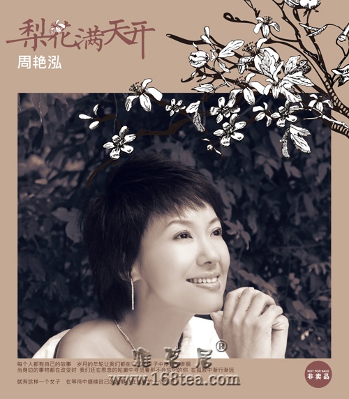 周彦宏带有江南中国风的旋律——:梨花满天开