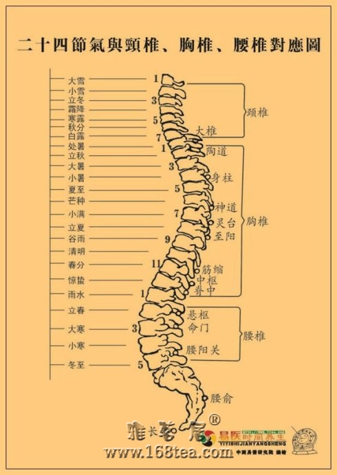 2011年二十四节气交接时间及对应的脊椎（穴位）表