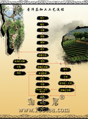 云南普洱茶的生产制作程序及工艺