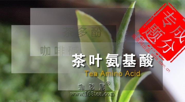 茶叶成分-氨基酸【茶叶知识】
