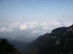 庐山云雾|江西名茶