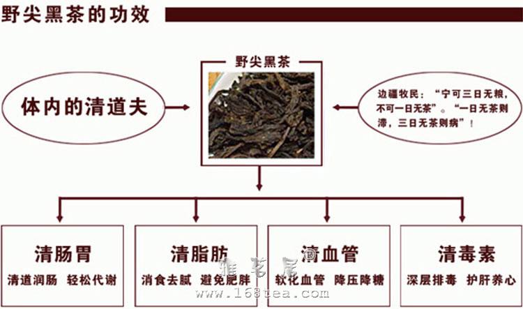 安化野尖黑茶|黑茶品种