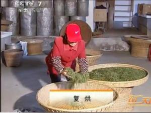 霍山黄芽茶的传统手工制作5：复烘工艺