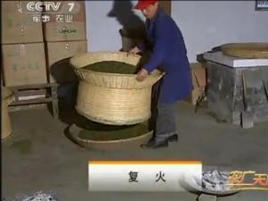 霍山黄芽茶的传统手工制作7：复火工艺