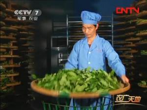 漳平水仙茶加工工艺4：摇青技术